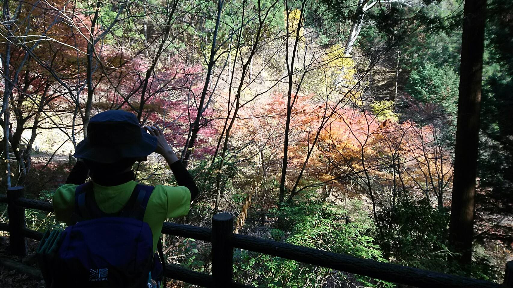 東京都にある”三頭山（みとうさん）”に登ってきました 🗻