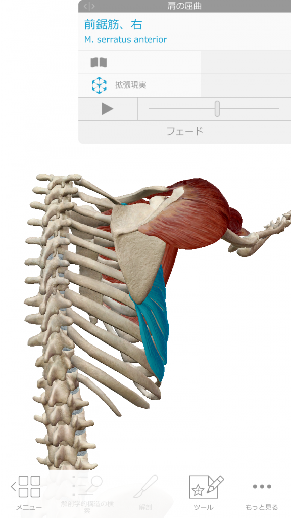 ピラティスの痛みシリーズ第3段〜よつんばいで手首が痛い‼️痛みの原因と解決策💡〜 ピラティスの痛みシリーズ第3段〜よつんばいで手首が痛い‼️痛みの原因と解決策💡〜