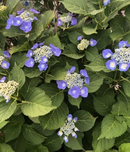 寝だめはダメ⁉️ 寝だめはダメ⁉️